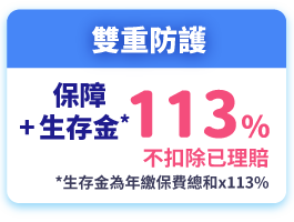 雙重防護